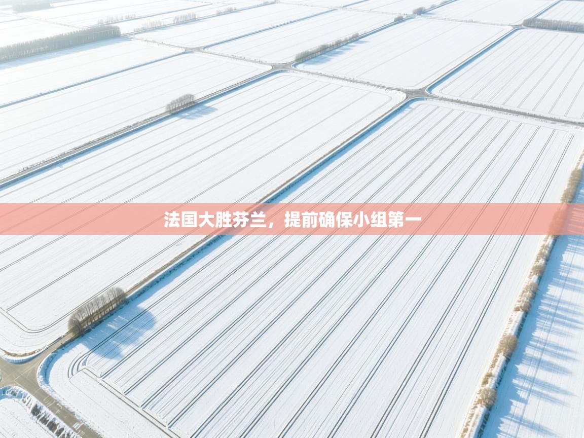 法国大胜芬兰，提前确保小组第一  第2张