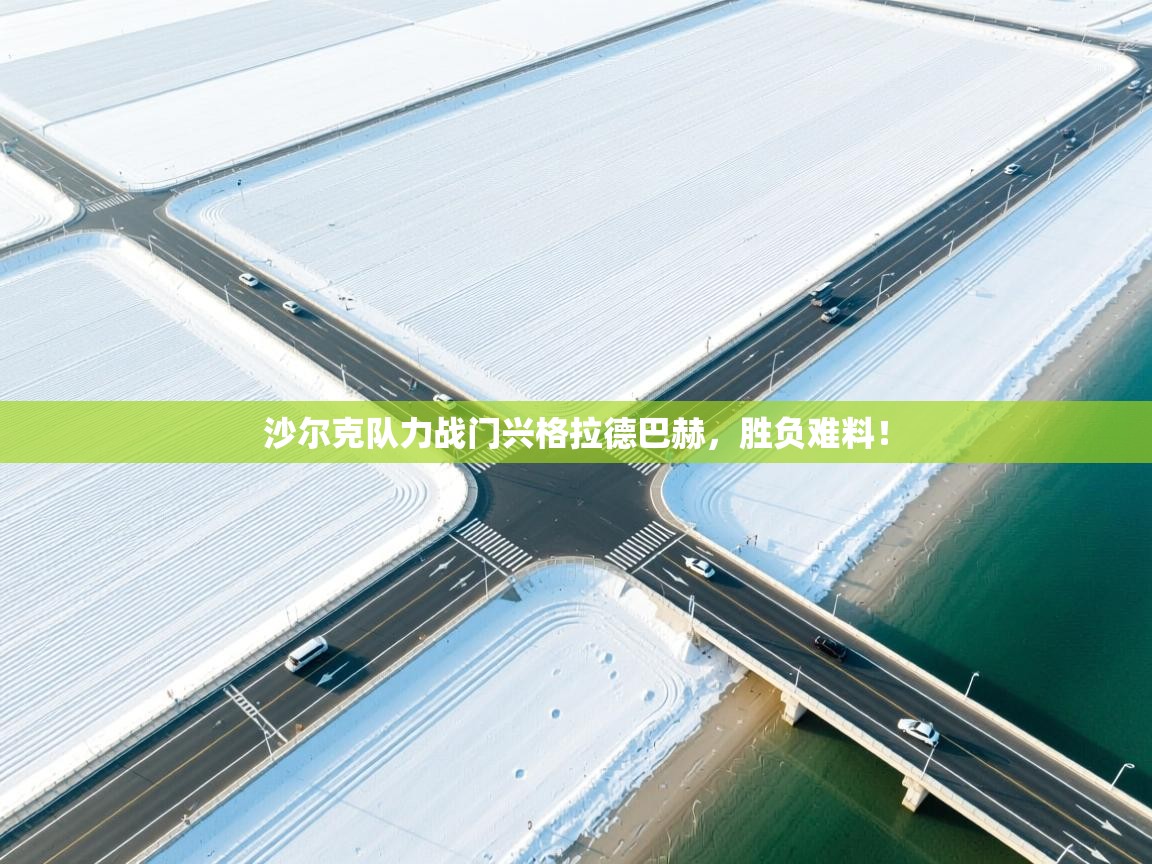 沙尔克队力战门兴格拉德巴赫,胜负难料! 第2张