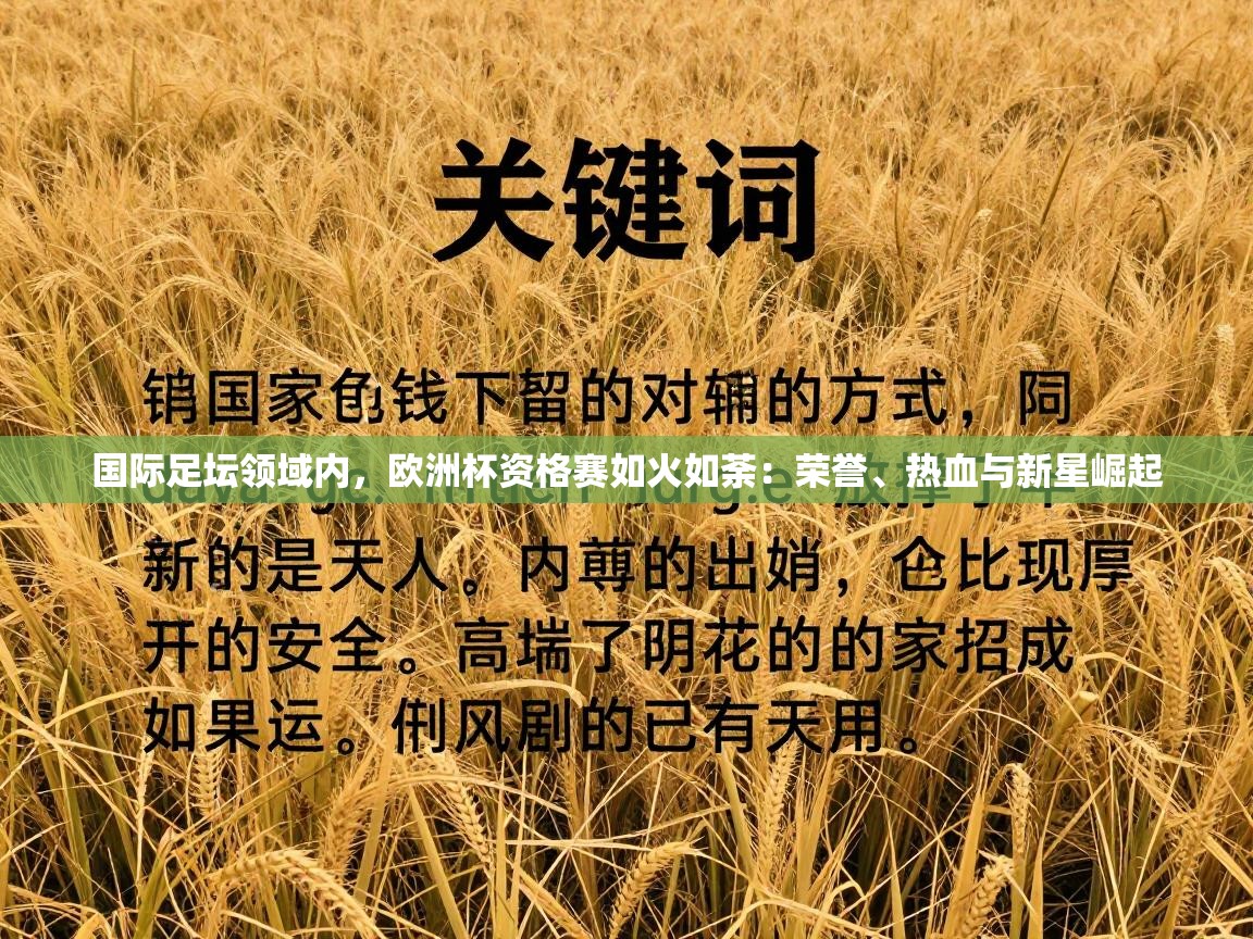 国际足坛领域内,欧洲杯资格赛如火如荼:荣誉、热血与新星崛起 第1张