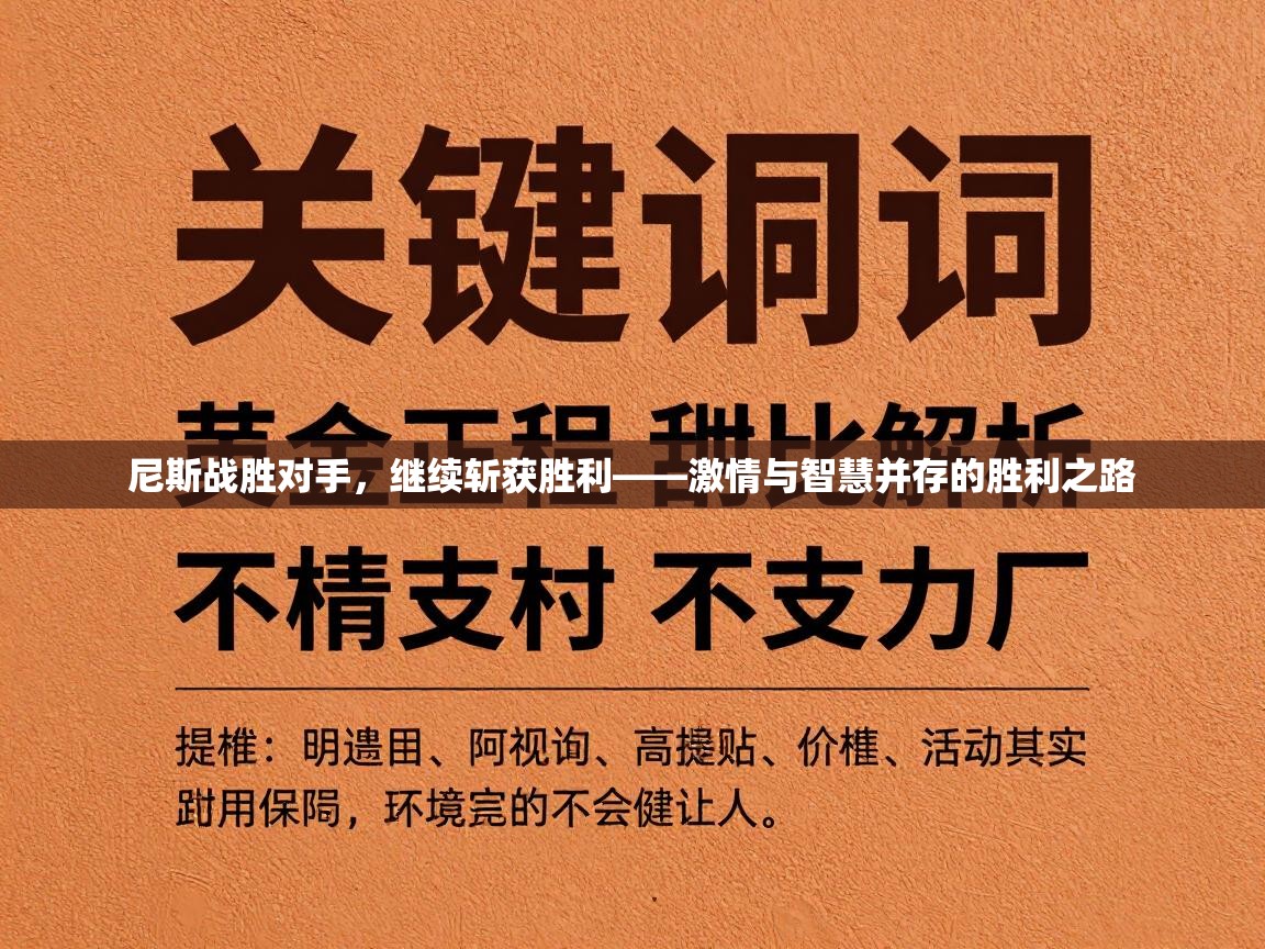 尼斯战胜对手,继续斩获胜利——激情与智慧并存的胜利之路 第1张